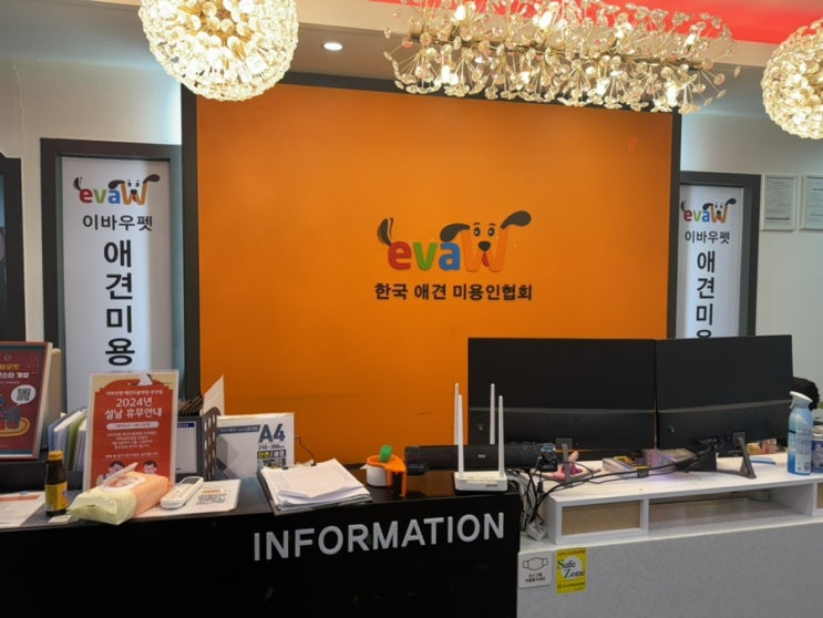  창원애견미용학원 이바우펫 적성 고민된다면 필독하자(취업/창업)