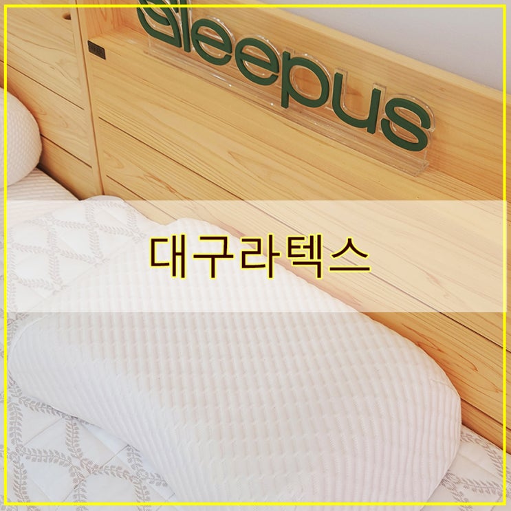  대구라텍스  라텍스매트  라텍스 베개  라텍스체험 가능한 슬립어스 라텍스 대구점