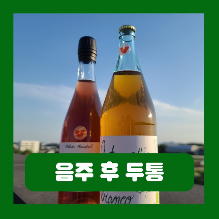  주류별 음주 후 두통 유발하는 원인