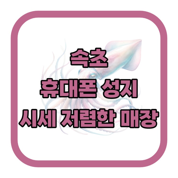 속초 휴대폰 성지 핸드폰 시세 저렴한 매장 속초 휴대폰 성지 핸드폰 시세 저렴한 매장
