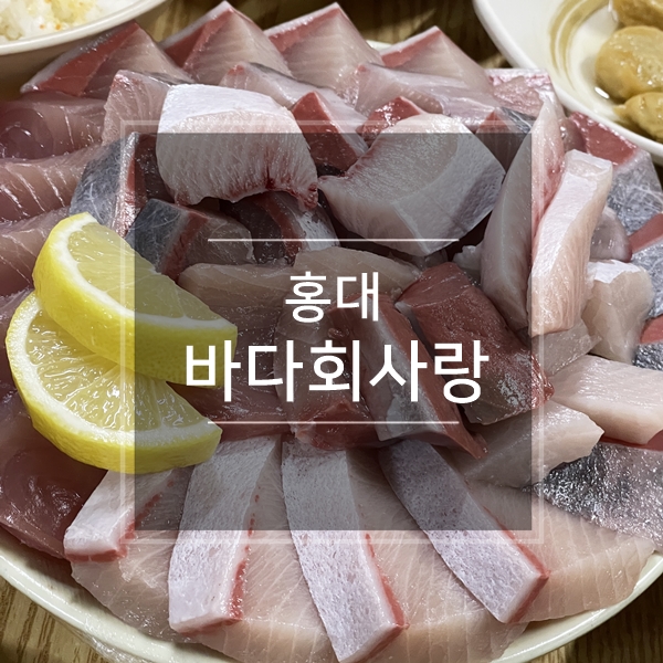  연남동 바다회사랑 본점 평일(금요일) 웨이팅 후기 ::  줄서는식당2 대방어횟집 이석훈이 다녀간 홍대 술집 핫플 데이트코스 가볼만한곳 국내맛집여행