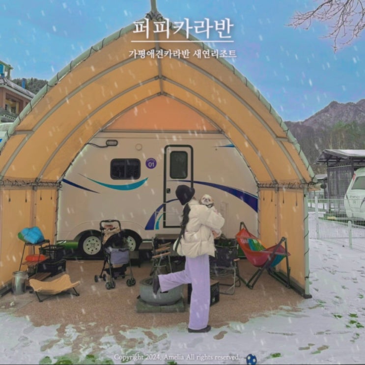  가평애견카라반 새연리조트 반려견과 글램핑 상세후기 | 바베큐 불멍 주차