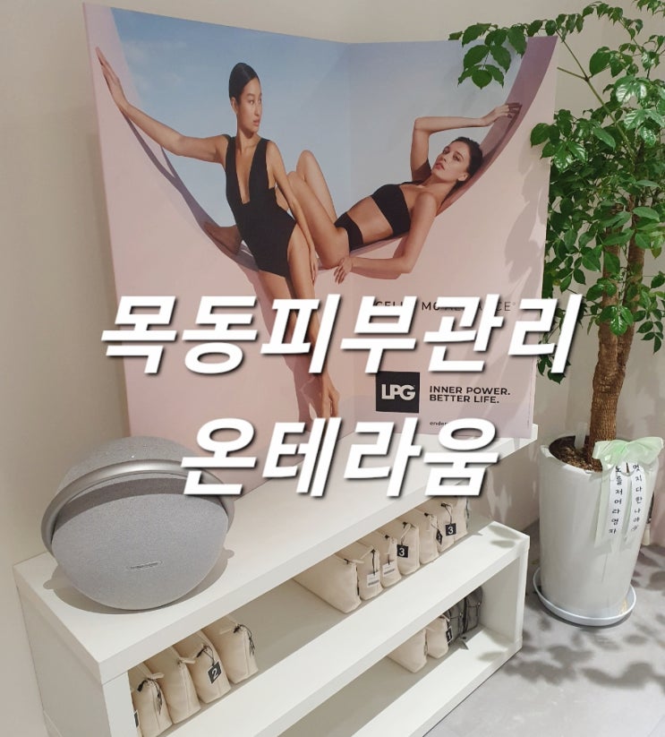  목동피부관리 온테라움 엔더몰로지 페이스관리로 탄력 업!