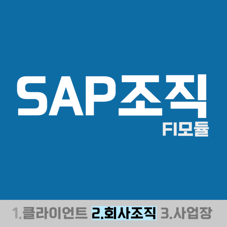  SAP조직(회사코드) - FI모듈
