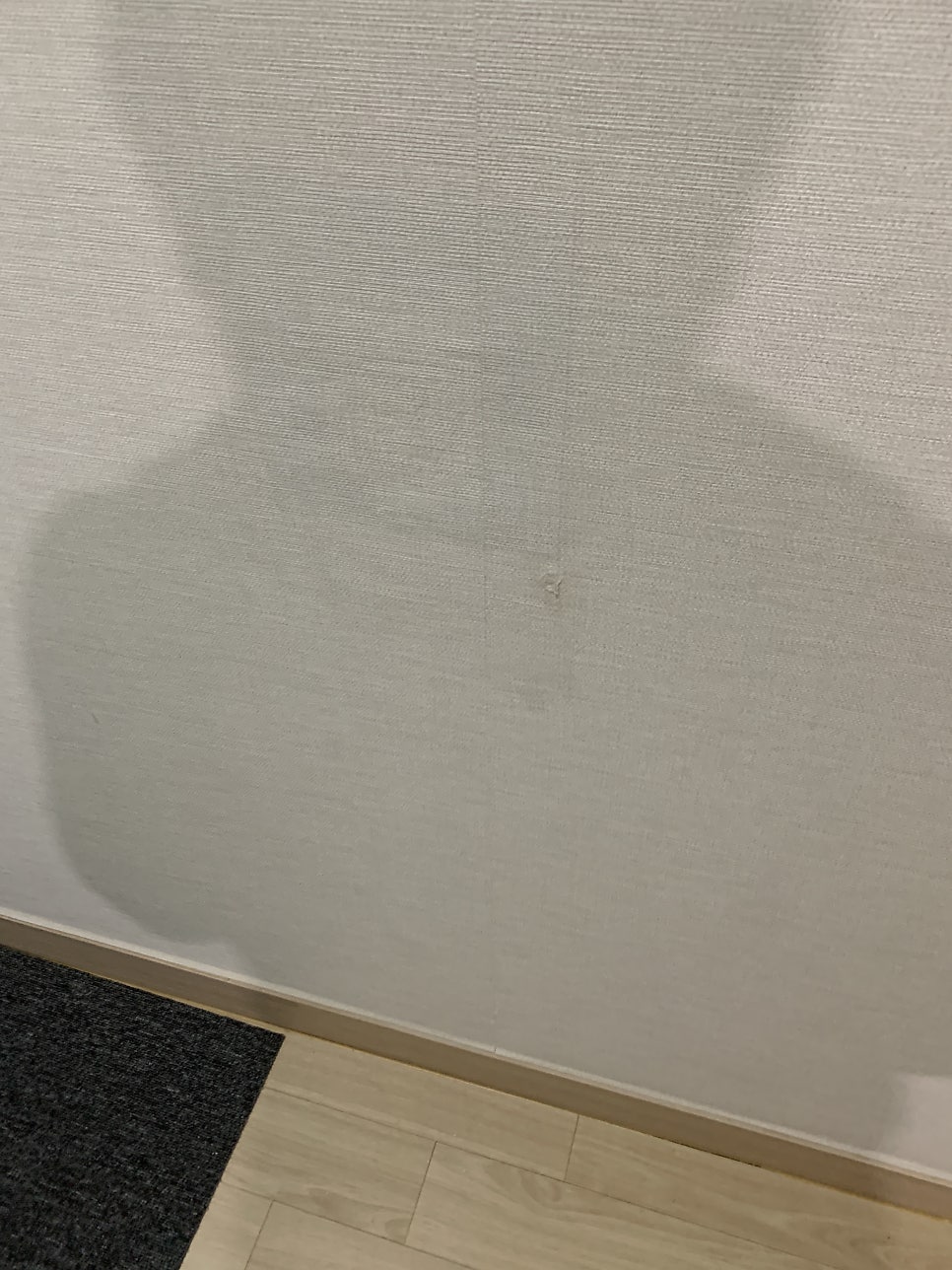 도배 벽지찢어짐 1곳만 복원가능 이사가기 전 긴급 원상복구