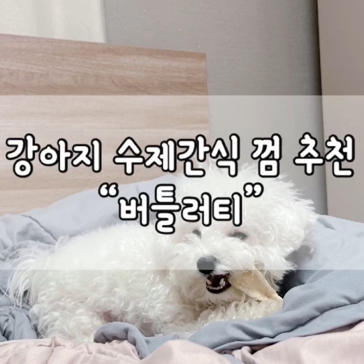  버틀러티 치키스틱 / 치석제거 껌 / 강아지 치석제거 껌 / 수제간식 / 버틀러티 / 내돈내산 / 강아지 껌 추천