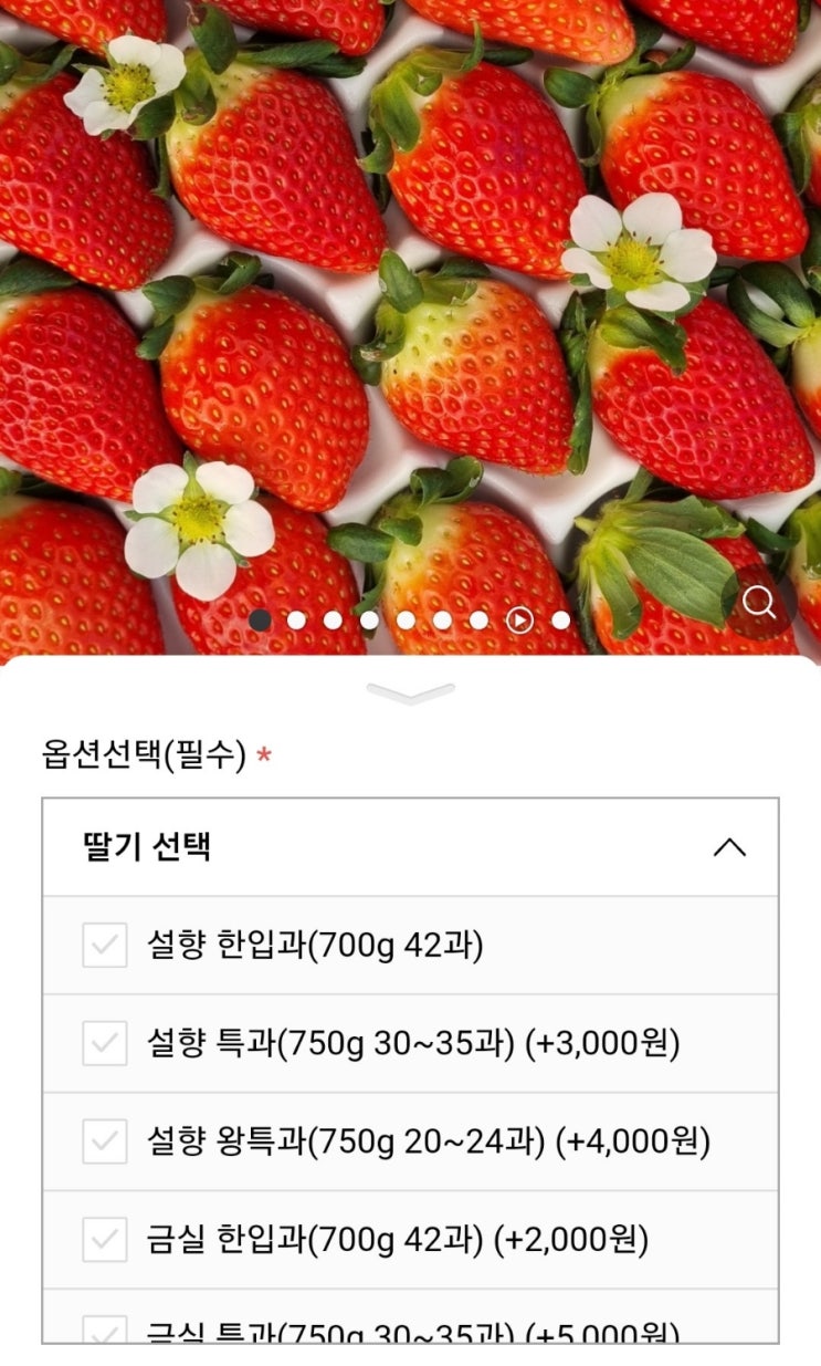  딸기 킬러가 먹어본 여미야미 금실 딸기