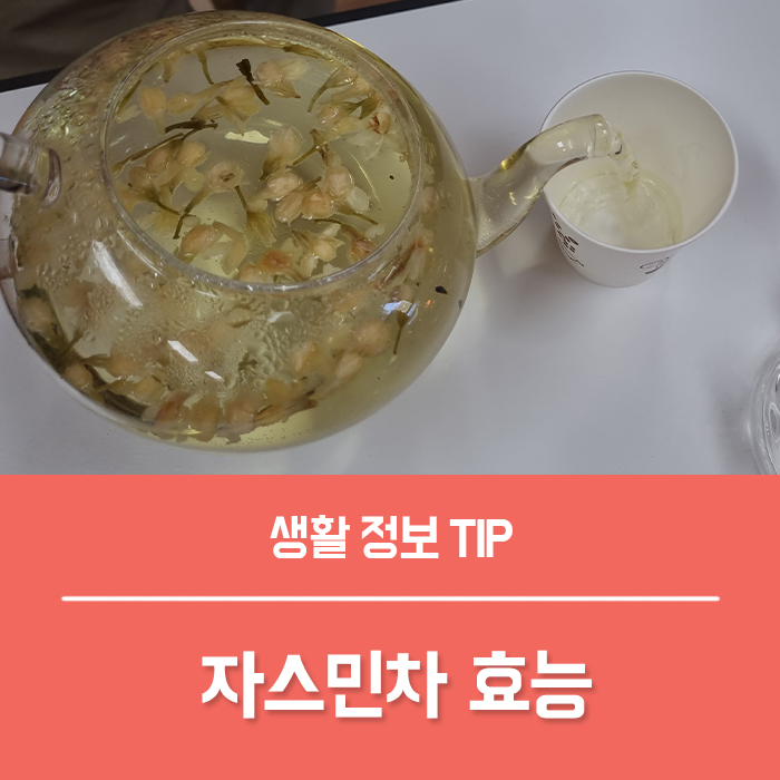  자스민차 효능 TOP4, 자스민차 부작용은?