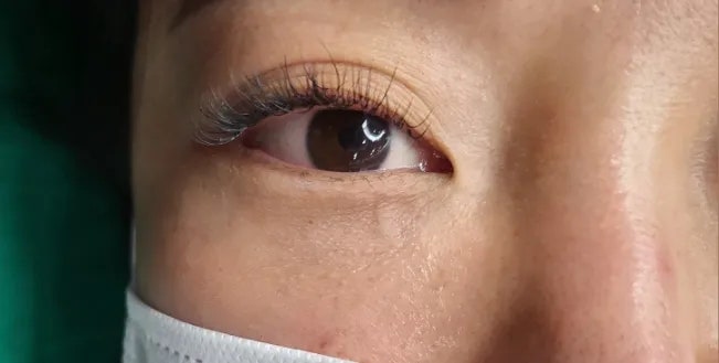전주 속눈썹연장 또렷한 || 디자인 속눈썹연장잘하는곳 전주 속눈썹연장 또렷한 || 디자인 속눈썹연장잘하는곳