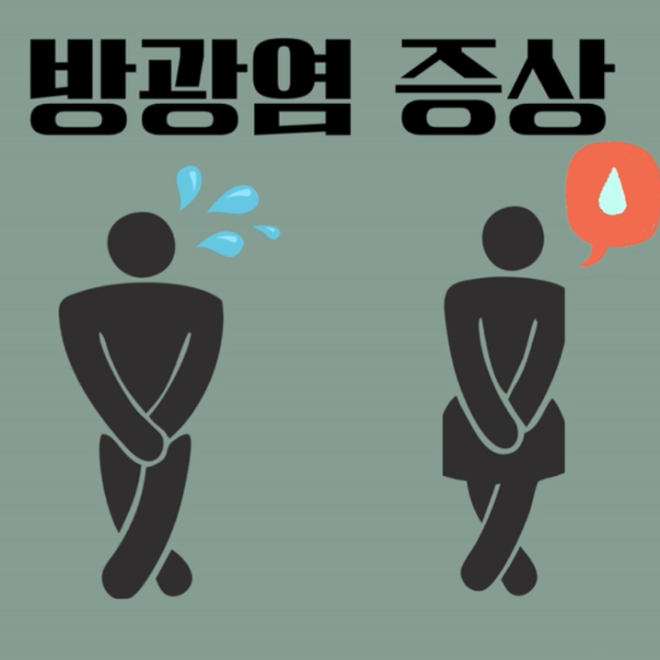  방광염 증상 이렇게 알아봐요: 증상, 원인, 치료 가이드