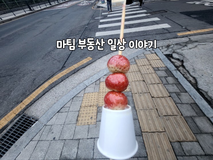  양재시민의숲역 캔디 탕후루