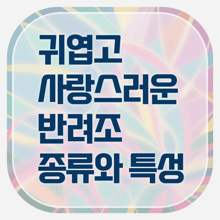  반려조관리사 자격증 취득 후기 정보 모두 드려요 ! 한국자격검정원