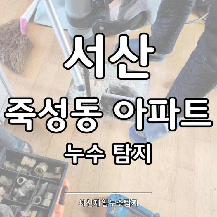  서산 죽성동 아파트 누수 탐지 후기