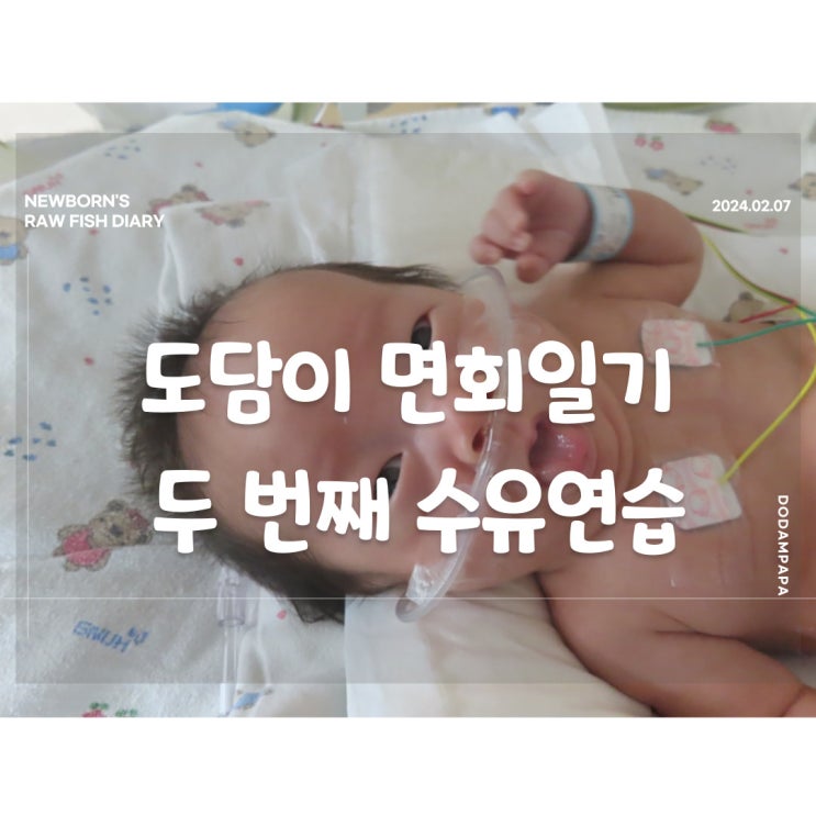 도담이 면회일기 도담이 두 번째 수유 연습 및 호흡기 제거 도담이 면회일기 도담이 두 번째 수유 연습 및 호흡기 제거