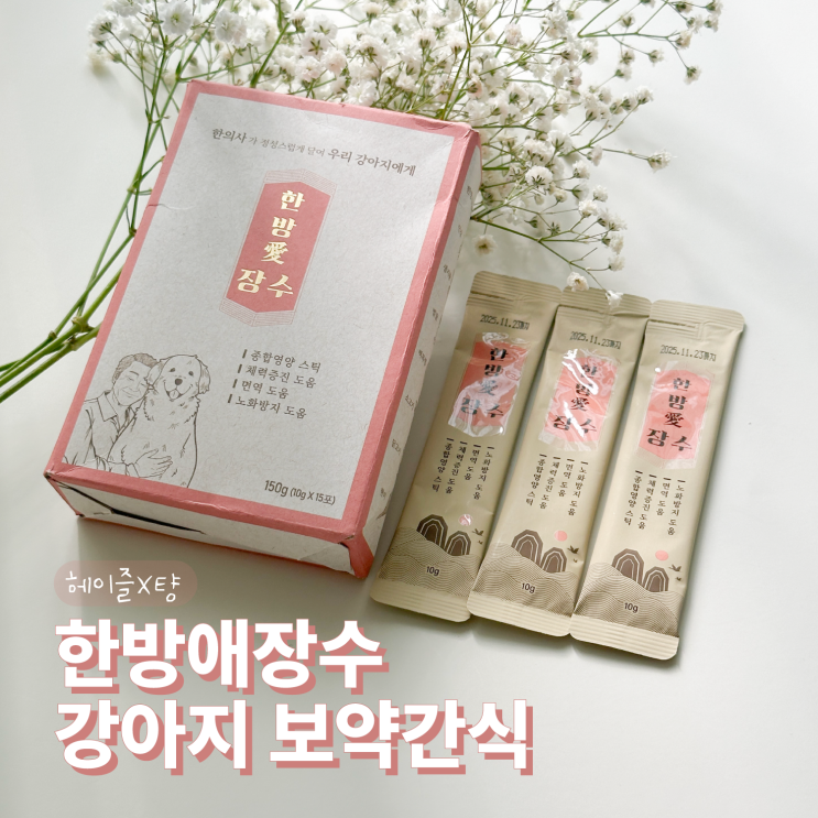 강아지영양제로 추천하는 한방애장수 보약간식 강아지영양제로 추천하는 한방애장수 보약간식