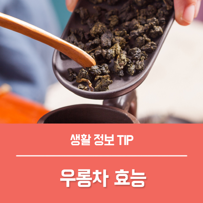  우롱차 효능 TOP5, 우롱차 카페인 부작용은?