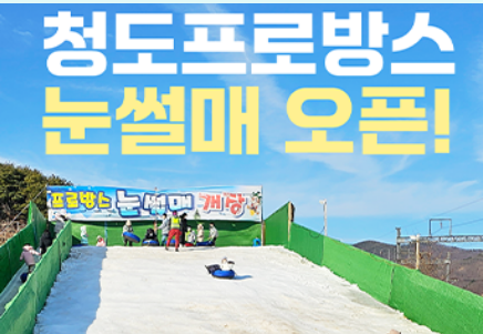 청도 프로방스 눈썰매 눈썰매장 청도 여행 가볼만한곳