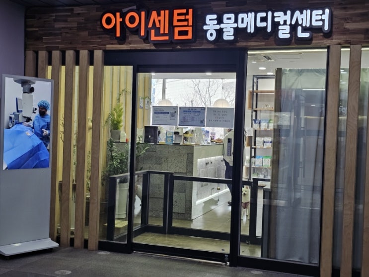  해운대 동물병원 아이센텀동물메디컬센터에서 반려견안구 검진후기