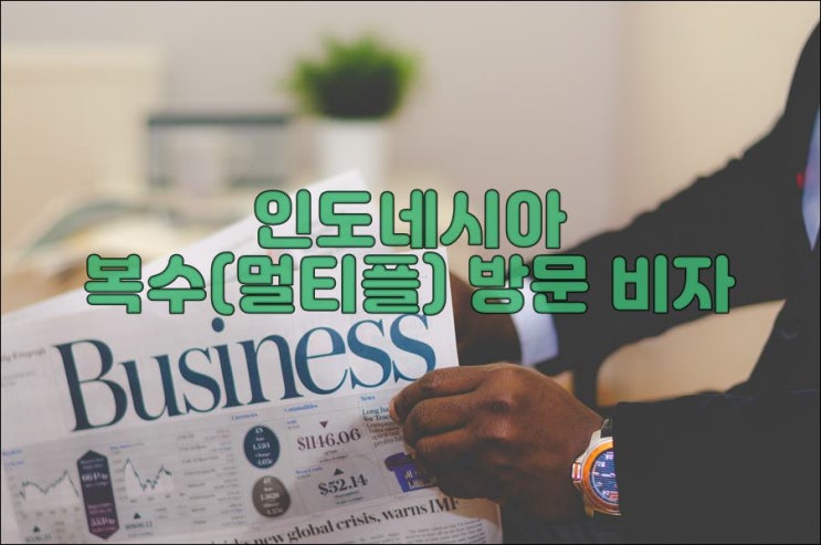 인도네시아 멀티플 비자