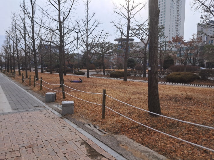  계룡 손해사정사 및 손해사정인의 폭넓은 판례 지식을 기초로 한 해설과 상담