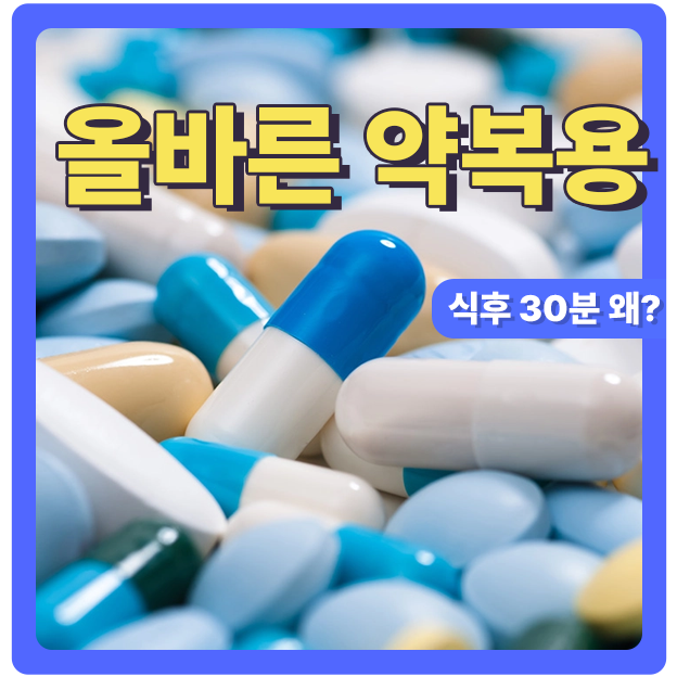  약 올바르게 먹는 4가지 규칙