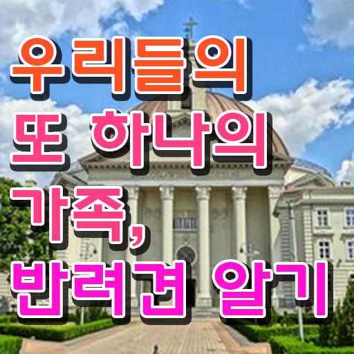  반려동물 관리사 자격증 취득 후기 A부터 Z까지 !