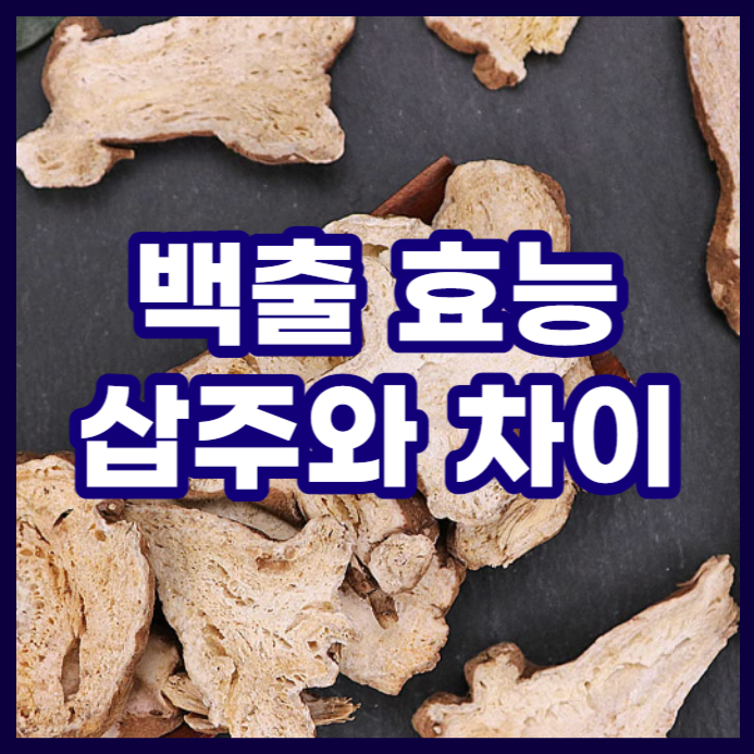  백출 효능과 잘맞는 체질, 기원 식물