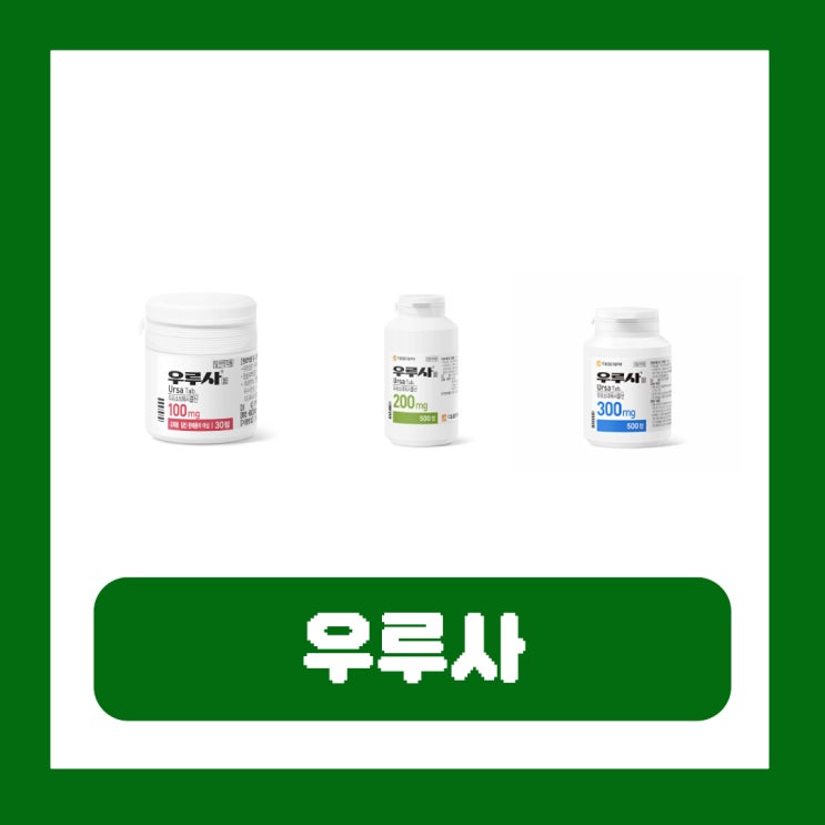  우루사 정 처방 100mg 200mg 300mg UDCA 효능 일일 권장량
