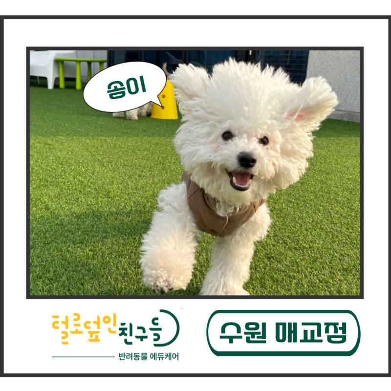 사진 4