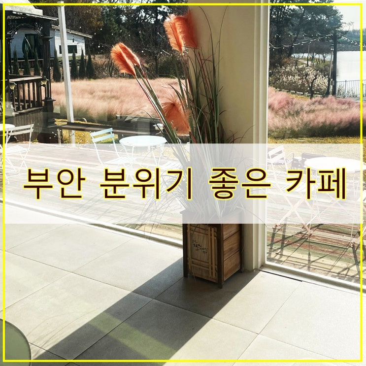  알땅카페 후기 지난 가을 방문했던 부안 분위기 좋은 카페