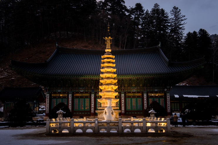  [야경] 오대산 월정사의 밤 풍경