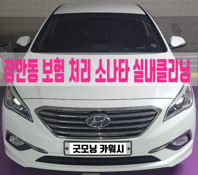  동대문구 장안동 청량리 실내 세차 사고 차량 내부 보험처리 실내클리닝