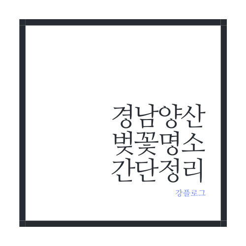  양산 벚꽃 명소 간단 정리