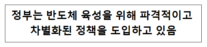 정부는 반도체 육성을 위해 파격적이고 차별화된 정책을 도입하고 있음 정부는 반도체 육성을 위해 파격적이고 차별화된 정책을 도입하고 있음