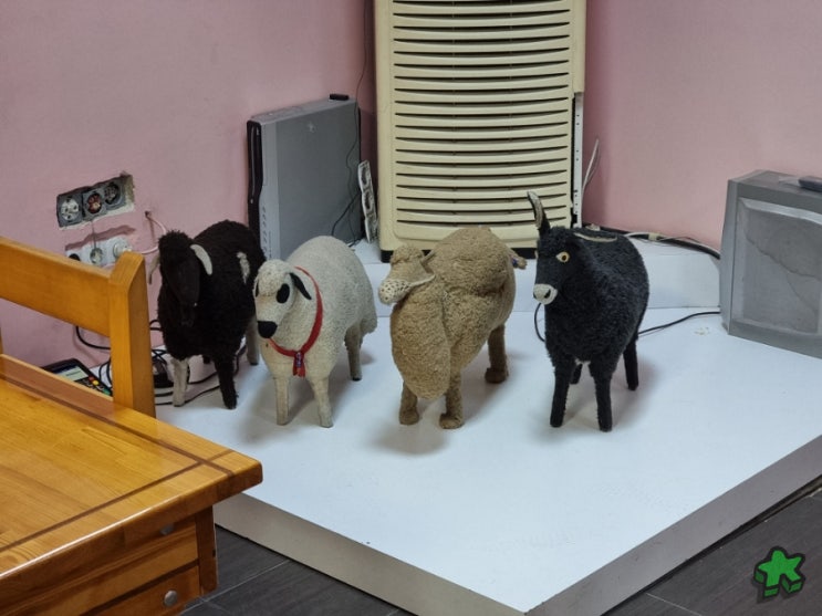  튀르키예 신혼여행 | 안탈랴에서 파묵칼레 이동 + 쿠유 케밥(Kuyu kebab)