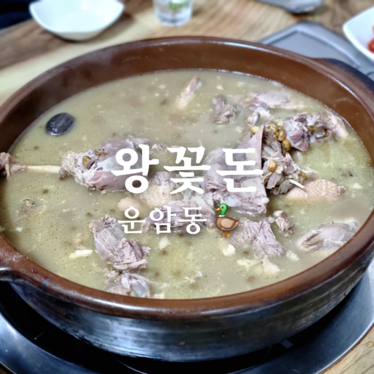 운암동 아저씨 맛집 왕꽃돈 진한 오리백숙까지!
