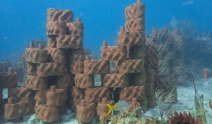 산호초를 되살리기 위해 3d프린팅으로 변신한 버진아일랜드