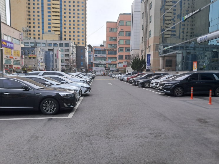  서울 특별시 금천구 손해사정사 및 손해사정인의 구체적이면서 간략한 상담 자문