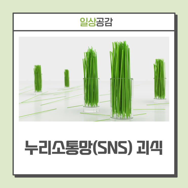 녹말 이쑤시개 튀김, 따라하지 마세요···누리소통망(SNS) 괴식