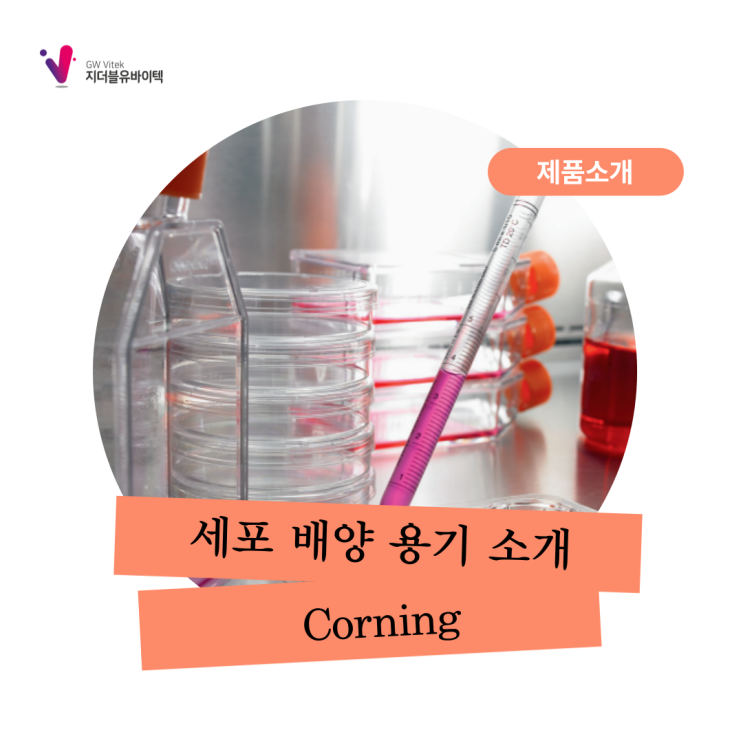 [Corning] 세포 배양용 표면처리와 배양 용기 소개