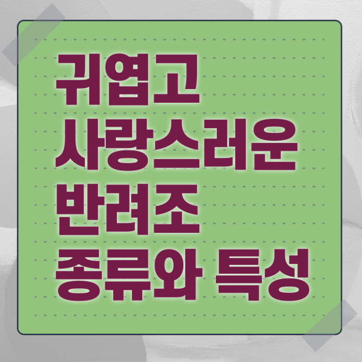  반려조관리사 자격증 취득방법 살펴보아요 !!! 한국자격검정원