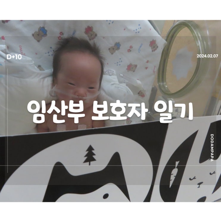 2024.02.07 임산부 보호자 일기 D+10일 2024.02.07 임산부 보호자 일기 D+10일
