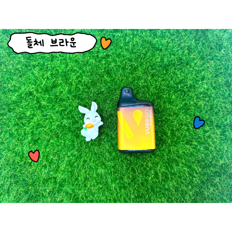 일회용 전자담배 VUSE 뷰즈 고 800 리뷰 : 네이버 블로그