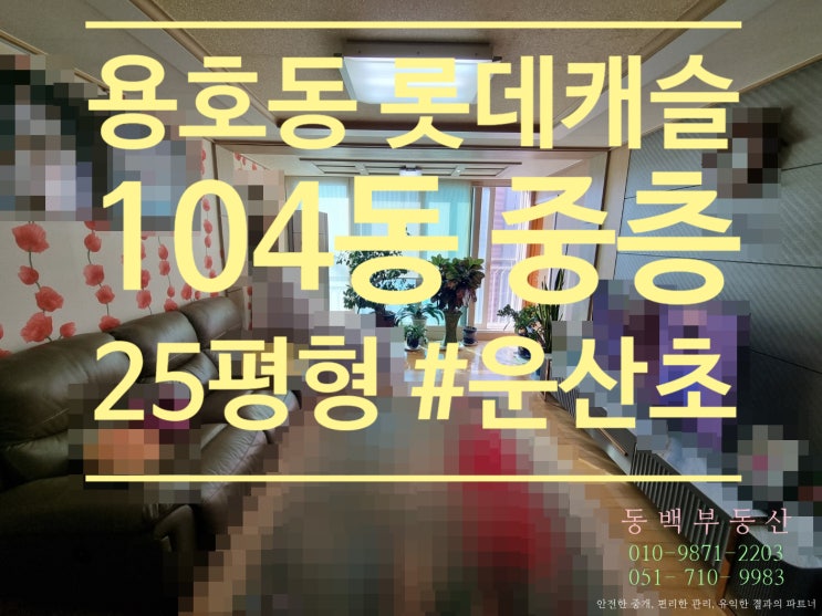  운산초등학교 바로 옆 용호동 롯데캐슬아인스 104동 중층형 25평 매매