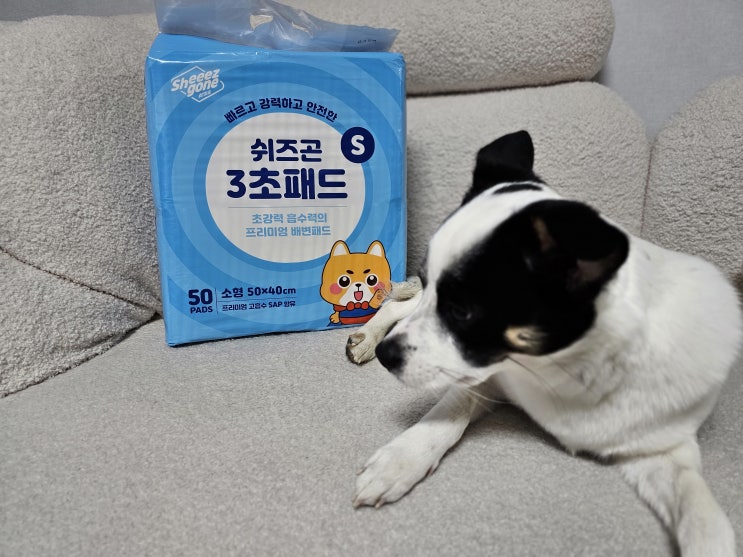 [배변패드추천] 쉬즈곤 배변패드가성비 갑! 탈취력 갑!