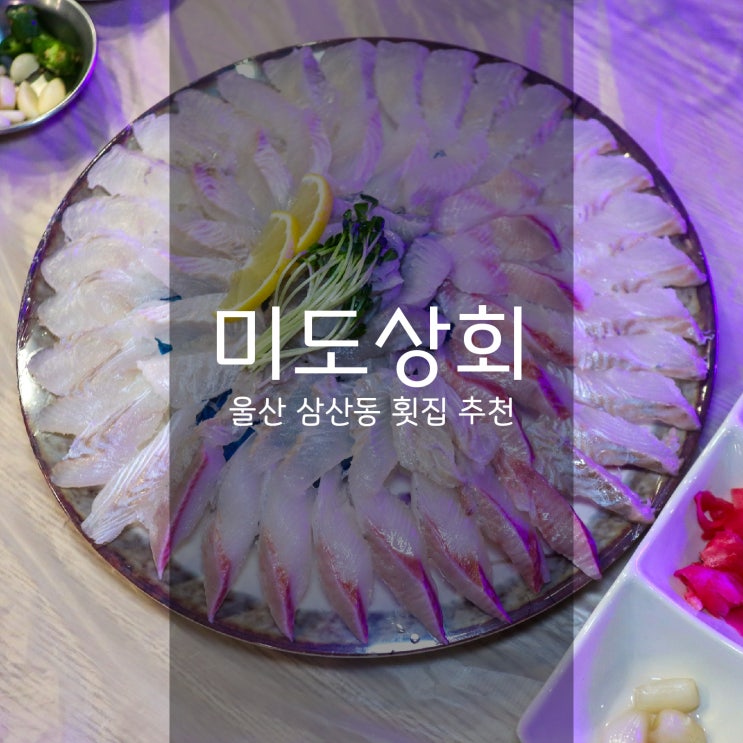  미도상회 횟집 - 울산 삼산동맛집