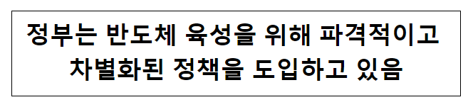 정부는 반도체 육성을 위해 파격적이고 차별화된 정책을 도입하고 있음