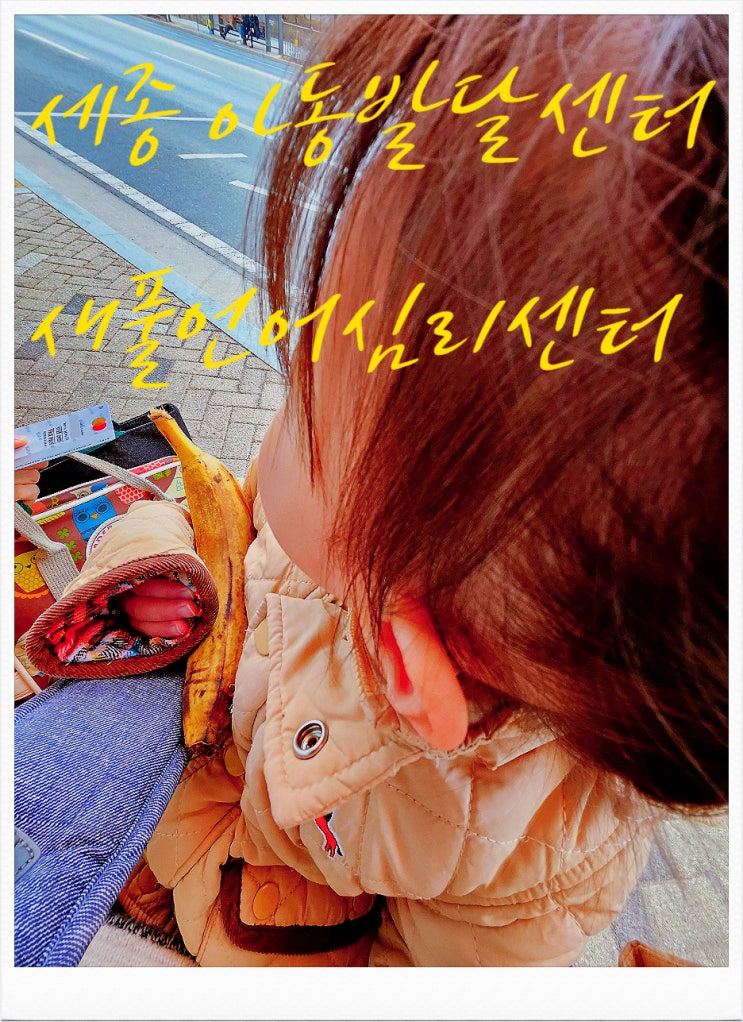  세종 아동 발달센터 언어치료 바우처 가능한 새 풀 언어 심리 상담 센터