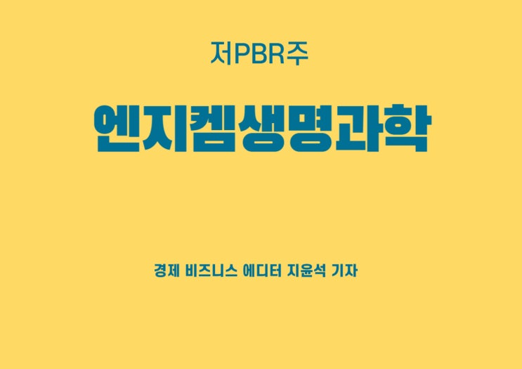  저PBR주로 주목받는 엔지켐생명과학