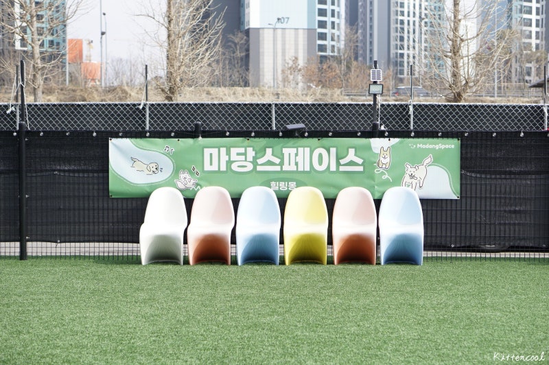 사진 2